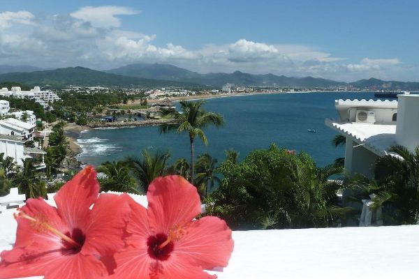 Dolphin Cove Inn (Manzanillo)